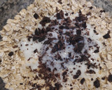 Foto del paso 4 de la receta: Desayuno/merienda fit. Yogur, avena y manzana