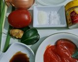 Foto langkah ke 1 dari resep 153. Cumi-cumi Saus Padang.