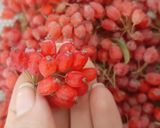 عکس مرحله 1 از دستور مربای زرشک تازه