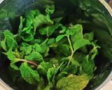धनिया पुदीना की चटनी (dhaniya [pudina ki chutney recipe in Hindi) रेसिपी चरण 1 फोटो