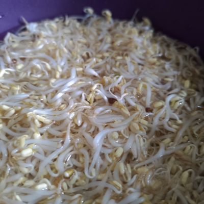 Langkah 1