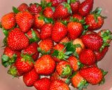 Foto langkah ke 1 dari resep 377. Puding Strawberry.