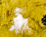 করাইশুঁটির কচুরি(koraishutir kochuri recipe in Bengali) রেসিপির ধাপ 5 ছবি