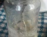 Foto del paso 5 de la receta: Proyecto MASA MADRE