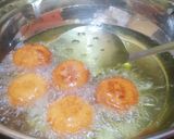 A picture of step 16 of Rasbora.