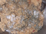 Hamburguesa de garbanzo