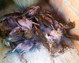 Foto del paso 1 de la receta: Fritada de Tordos