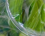 صورة لخطوة 1 من وصفة مخلل خيار 🥒 🥒