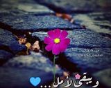 صورة لخطوة 3 من وصفة دجاج مع البصل 😍😘