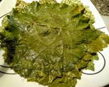 Foto del paso 8 de la receta: HOJITAS De Parra,(Dolma) rellenas de Pechuga molida de Pollo...!