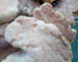 Foto del paso 3 de la receta: Galletas rápidas y fáciles