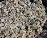 Foto del paso 2 de la receta: Pasta corta con pollo y salsa blanca gratinada