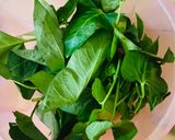 Foto langkah ke 1 dari resep 568. Plecing Kangkung.