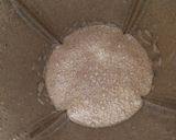 A picture of step 2 of Oreo freak shake.