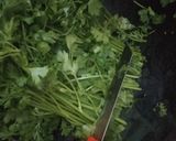 हरी धनिए की चटनी (Hari Dhaniya ki chutney recipe in hindi) रेसिपी चरण 1 फोटो