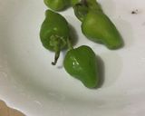 A picture of step 3 of Dry Chicken chilli.