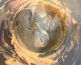 Foto del paso 2 de la receta: Alioli a la mostaza de dijon