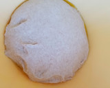 Foto del paso 4 de la receta: Pan de molde espelta integral con masa madre