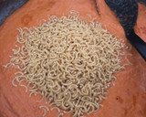 Foto del paso 2 de la receta: 165. Fideos melosos de bacalao (principal paella)
