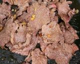 A picture of step 3 of Beef Phở Rolls.