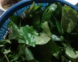Foto langkah ke 2 dari resep Daun kacang masak bening.