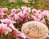 Hình bước làm 2 của món Cafe bọt
