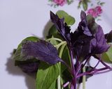 عکس مرحله 2 از دستور 🪷سالاد ارمنی🪷