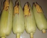 Foto langkah ke 1 dari resep Jagung Manis Kukus.