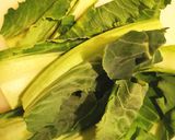 Foto del passaggio 1 della ricetta Vellutata con foglie di cavolfiore e patate novelle