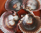 Foto del paso 2 de la receta: Zamburiñas a la plancha