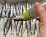 Foto del paso 3 de la receta: Sardinas al horno con orégano 🌿 y miel 🍯