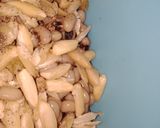 A picture of step 1 of Creamy Mayonnaise salad.
