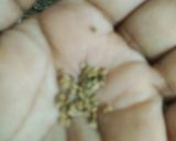#કાઢા (kadha in Gujarati) રેસીપી સ્ટેપ2ફોટો