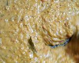 Foto del paso 5 de la receta: Polenta cremosa con salsa casera