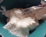 Foto del paso 3 de la receta: Papilla en kéfir y queso sabor coco