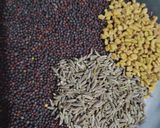 आंब्याचा खार / लोणचे (ambyacha khar / lonche recipe in marathi) रेसिपी स्टेप 2 फोटो 