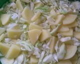 કોબીજ બટેકા નું શાક (Cabbage Bataka Shak Recipe In Gujarati) રેસીપી સ્ટેપ1ફોટો