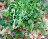 A picture of step 3 of Veg Manchurian with Gravy.