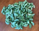 A picture of step 1 of Broad beans Subji.