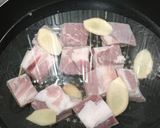 A picture of step 8 of Shark's fin melon soup.