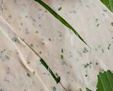 Foto langkah ke 4 dari resep Stick kacang panjang gurih.
