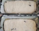Foto del paso 6 de la receta: Pan de avena y pasas