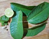 A picture of step 2 of Guava leaves tea.