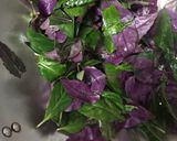 麻油紅鳳菜的食譜步驟2照片