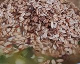 Foto del paso 3 de la receta: Zapallitos redondos con avena tostada 🌱 Plant based 🌿