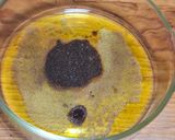 Foto del paso 1 de la receta: Mix Botanero de Cereal con Frutos Secos