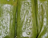 Foto langkah ke 4 dari resep Pepes Tahu.