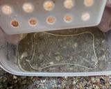 Foto del paso 9 de la receta: 🥢 Tofu casero a partir de porotos de soja 🥢