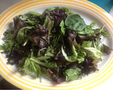 Foto del paso 1 de la receta: Ensalada variada con brotes de soja, para currantes, nº 8