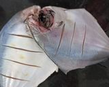 A picture of step 1 of Fish fry.